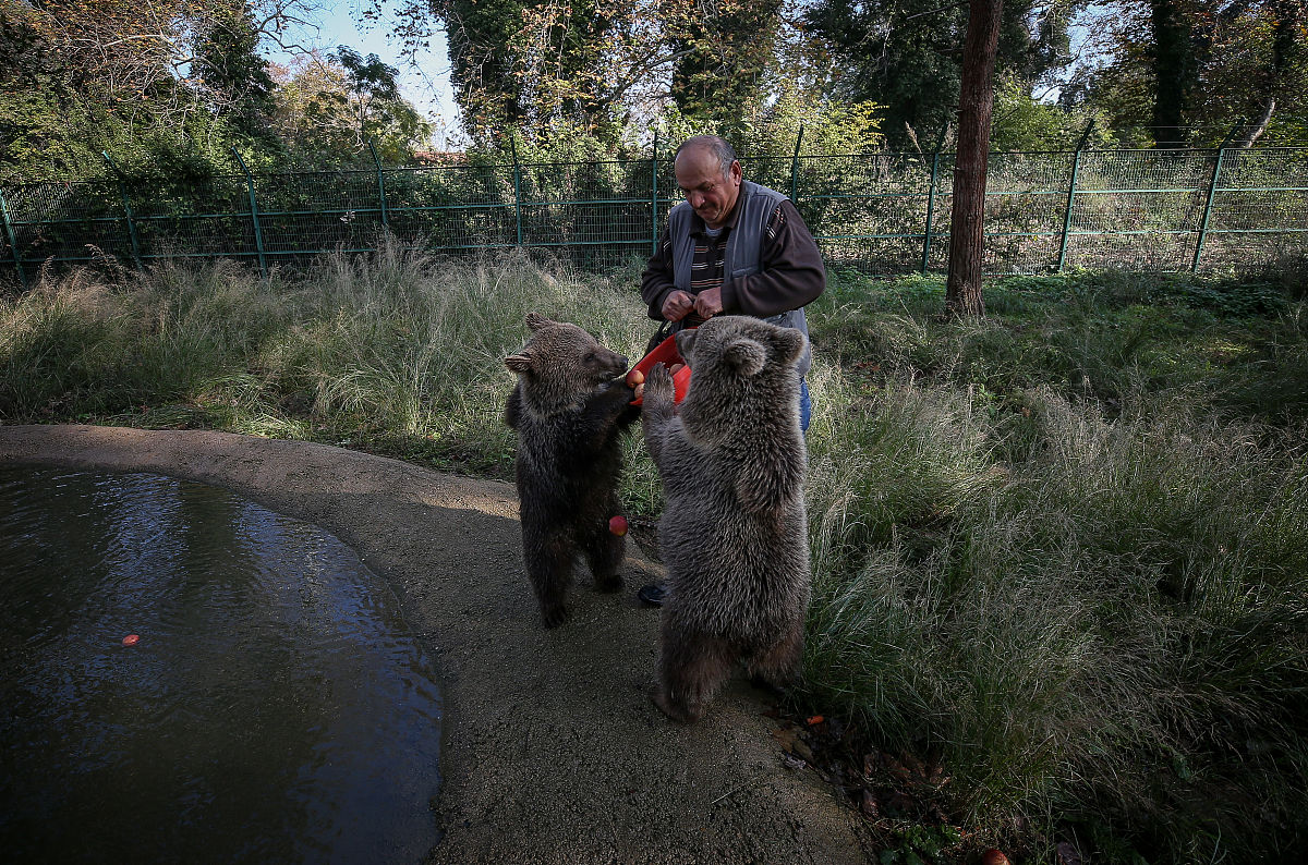 40 个梨分给 3 个班，一班分 20 个，二班分多少？