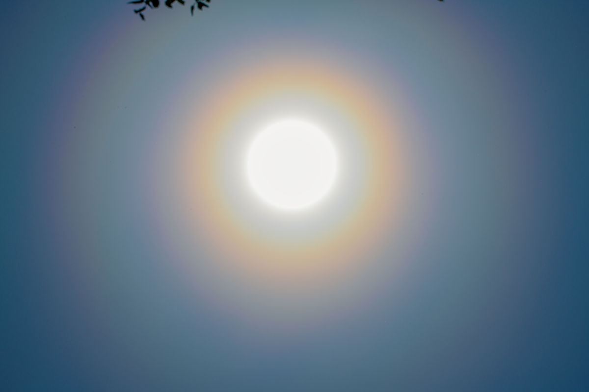 2021年5月8日,北京现日华景观.