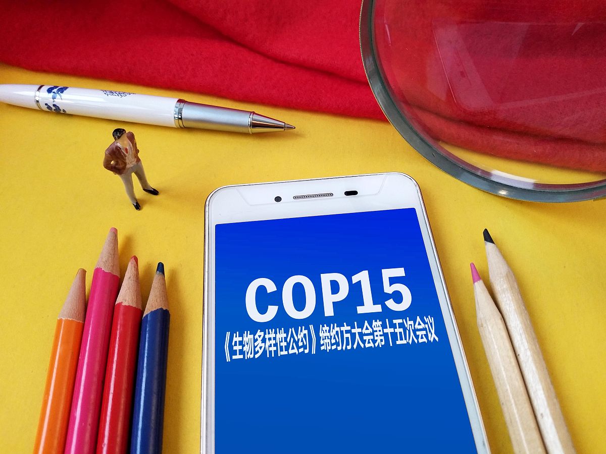 商业配图:《生物多样性公约》缔约方大会第十五次会议(cop15)