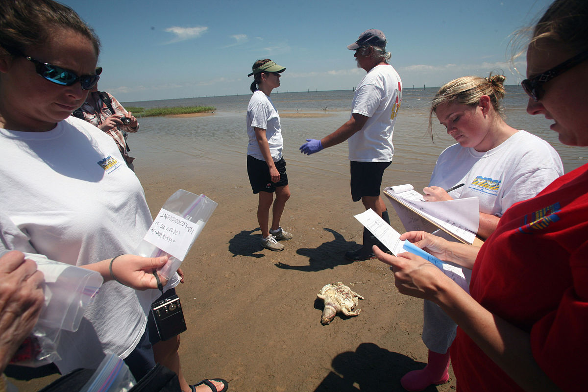 调研报告大纲示例：结构、内容及注意事项