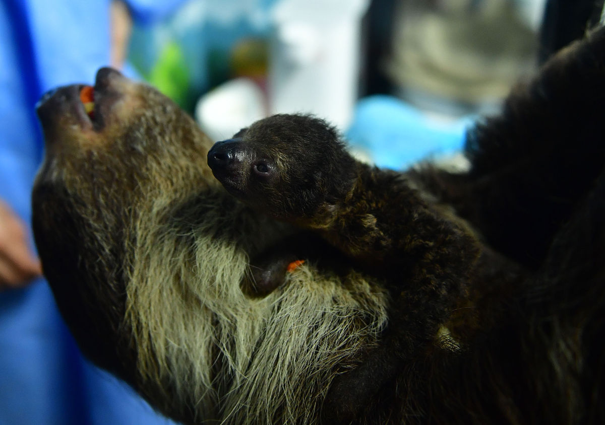 3个月宝宝奶粉喂养规律