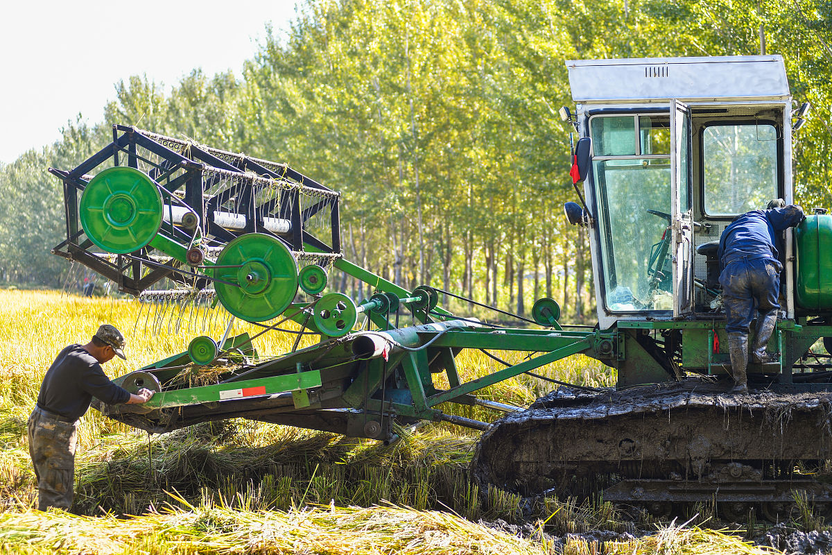 黑龙江农垦职业学院种子生产与经营专业就业前景如何