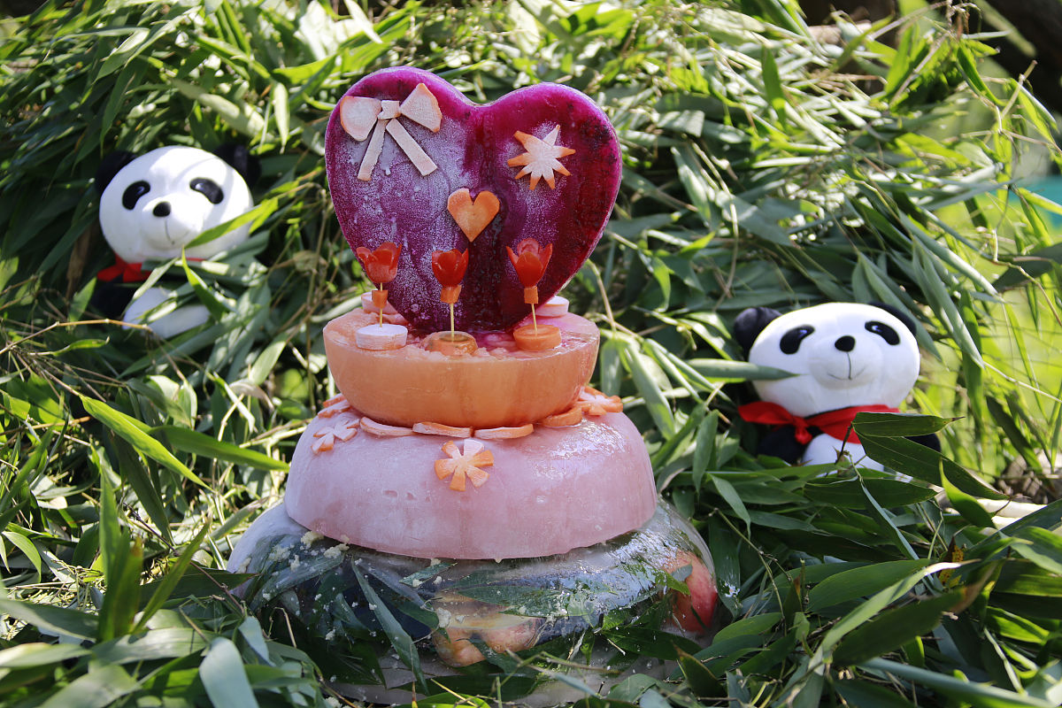 2019年广安技师学院招生简章