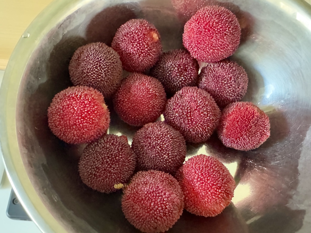 硬丝杨梅好吃吗，