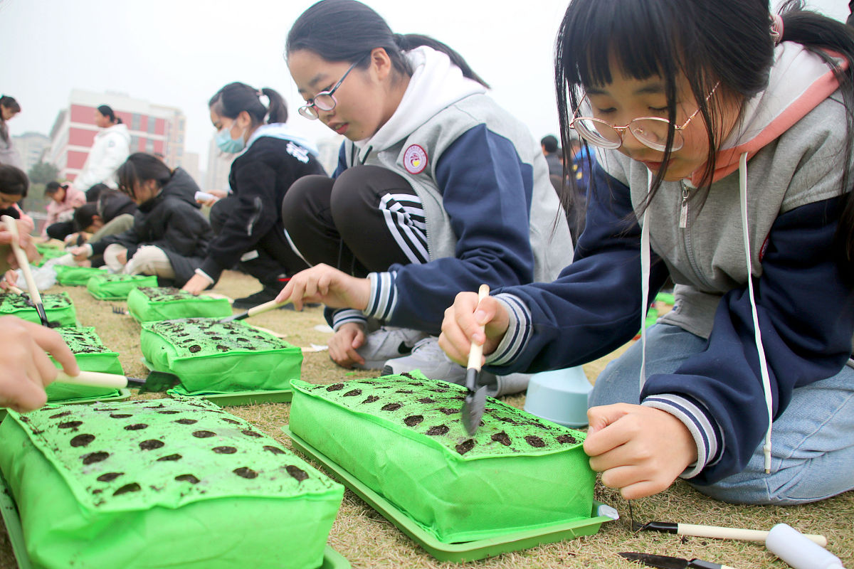 相城实验中学升学率：师资力量、课程设置、管理严格助力学子成功