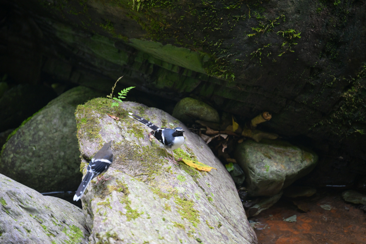 贵州护理专业高职院校推荐：哪所学校最适合你？