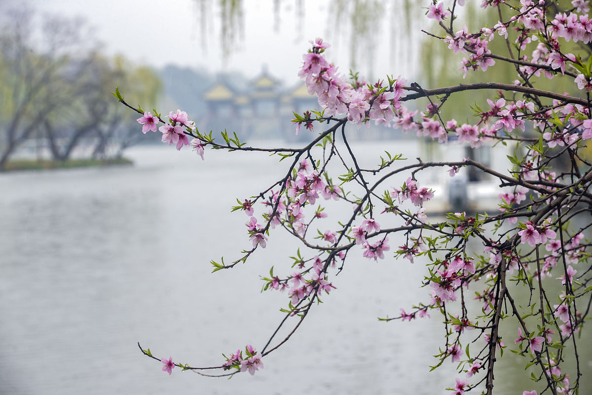 自创一首中国诗句