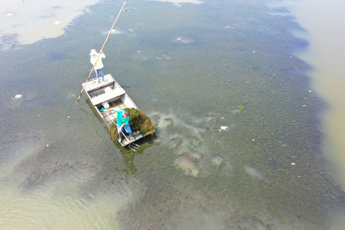 2021年8月22日,江苏省淮安市洪泽区西顺河镇洪祥渔
