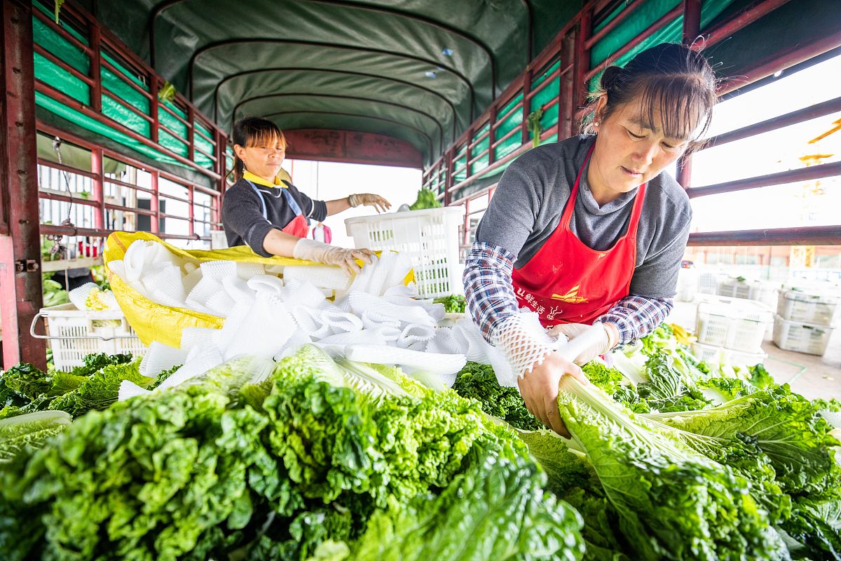 湖南现代物流职业技术学院旅游管理专业怎么样？就业前景如何？