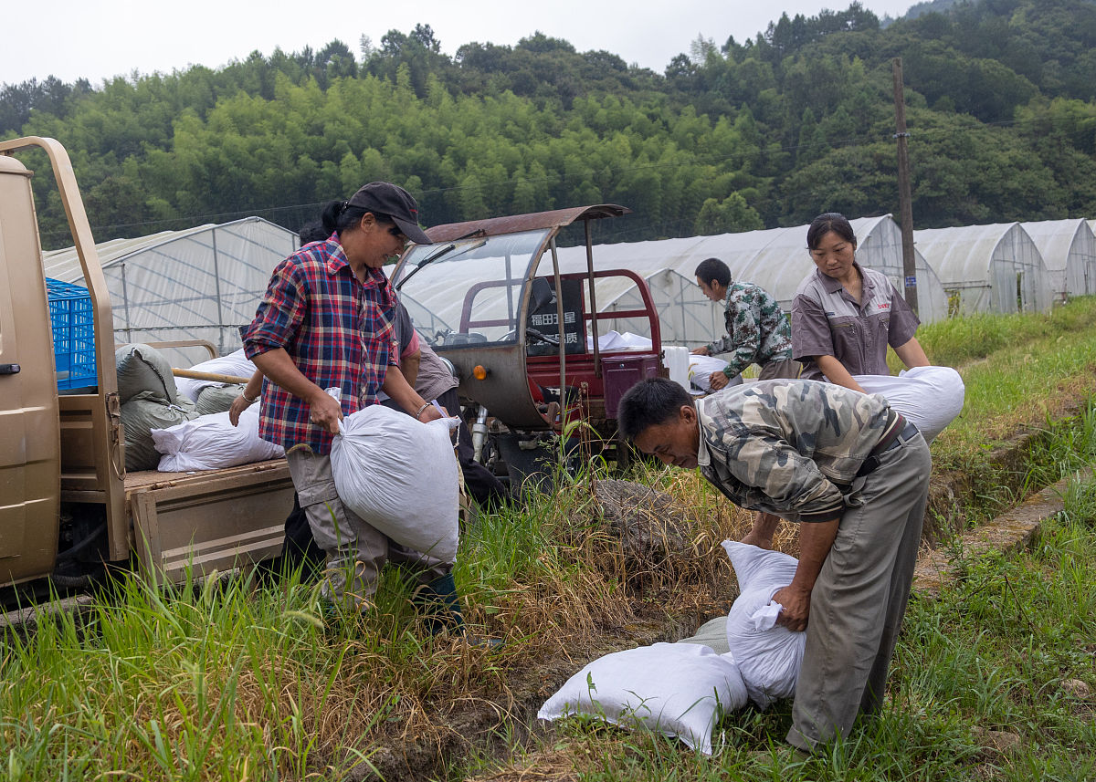 在那马镇农业服务中心第一天实习的日记