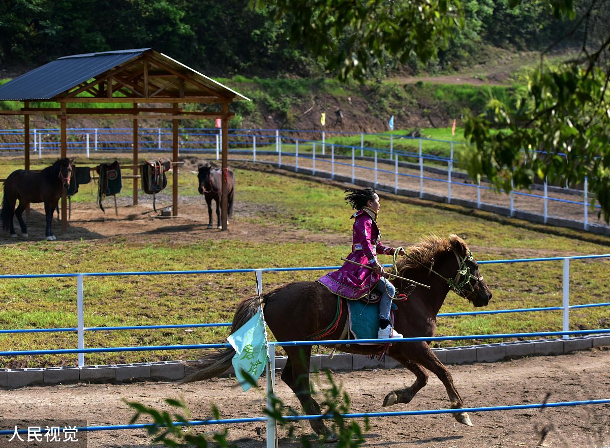 野狼谷门票、车票、骑马、射箭、极限滑草、蒙古袍租赁、萌宠动物投喂、草原狼投喂等项目，草原之旅的完美选择！