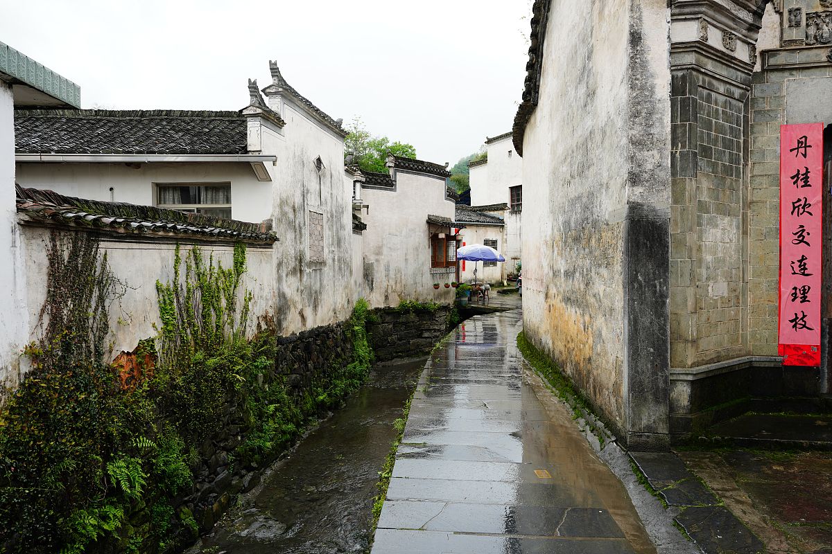 安徽商贸职业技术学院单招有高铁乘务专业吗