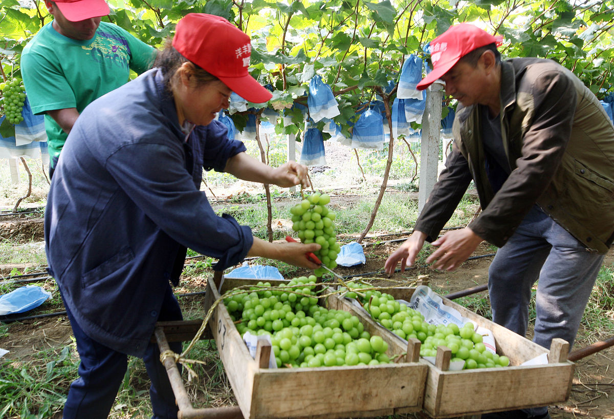 烟台城乡建设学校位置在哪？ - 详细地址及选址考量