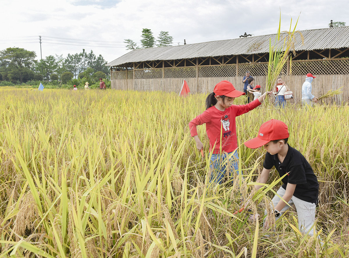 广东省劳动学会证书有用吗