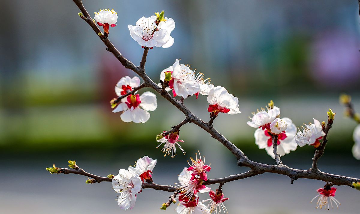 邯郸工贸学校2022年招生简章 - 报考指南及专业解读