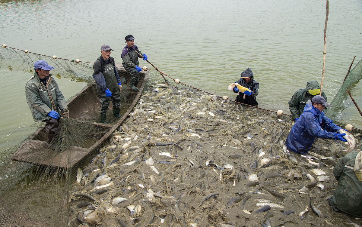 四川省水产学校怎样？是什么办学性质？