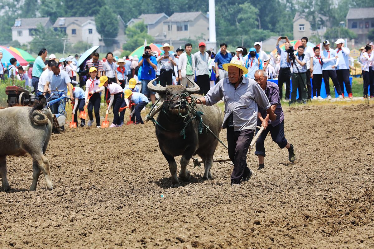 工匠精神对学生的意义：培养优秀习惯，提升自我价值