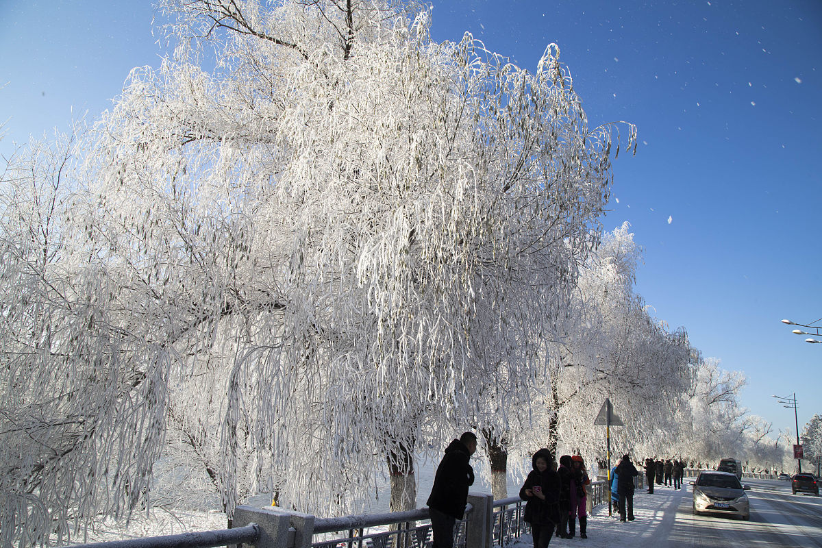 吉林市场营销是学什么 有哪些专业课程