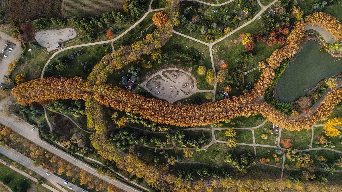 当地时间2017年11月14日,土耳其布尔萨,航拍植物园botanical park秋景