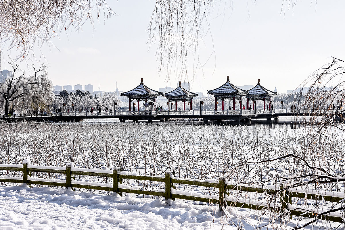 2020年11月20日,一场冻雨加大雪之后,长春整个城市变成水晶世界,南湖