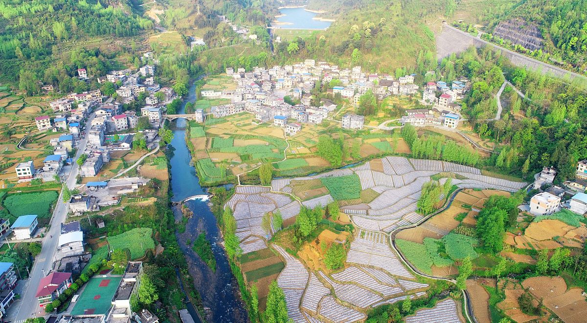乡村生活趣事：清新空气、可爱动物、美丽风景和友善村民