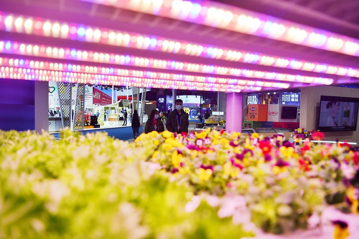 丙酮碘化反应速率常数测定方法及影响因素分析