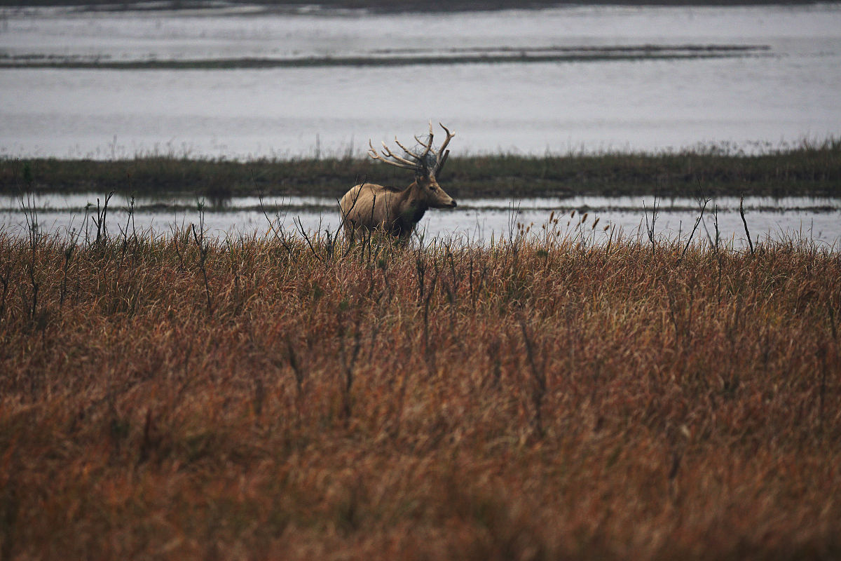 盐城有哪些媒体公司 盐城有哪些媒体平台可以帮助老百姓 要求：创建一篇1500至2000字的解决方案