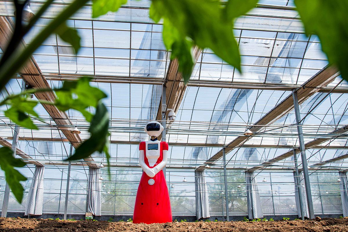 监控设备工作总结：技术创新、应用优化和质量保证