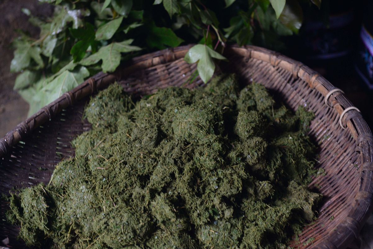 贵州职校中药制药技术专业就业前景好不好？好就业吗