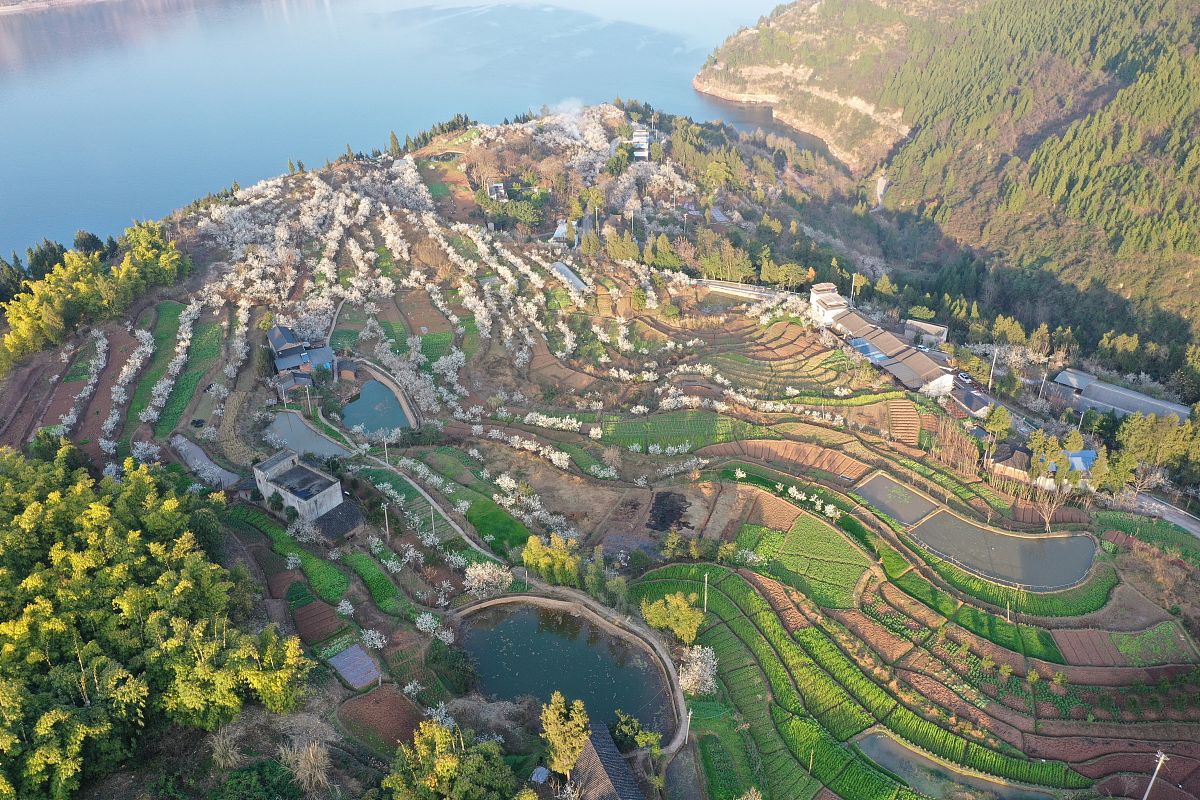 重庆中考200分适合读的幼师学校推荐