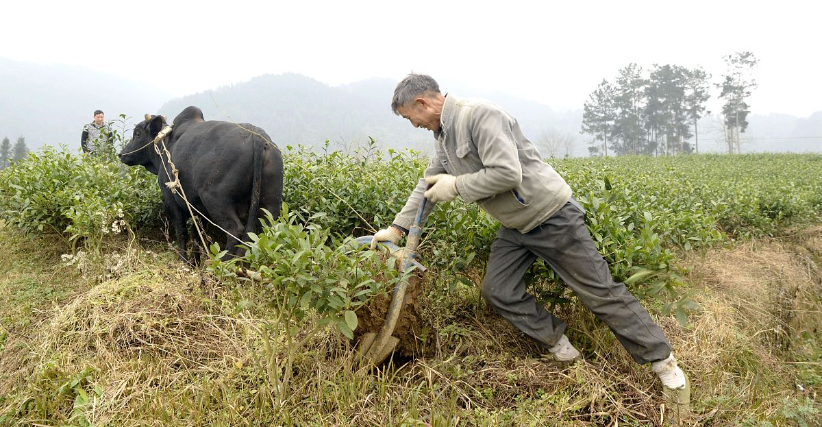 贵州内贸学校合作社经营管理专业就业前景好吗？