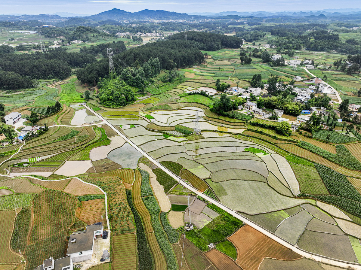 学习心得贵州六盘水市三变改革带来农村大变样3000字