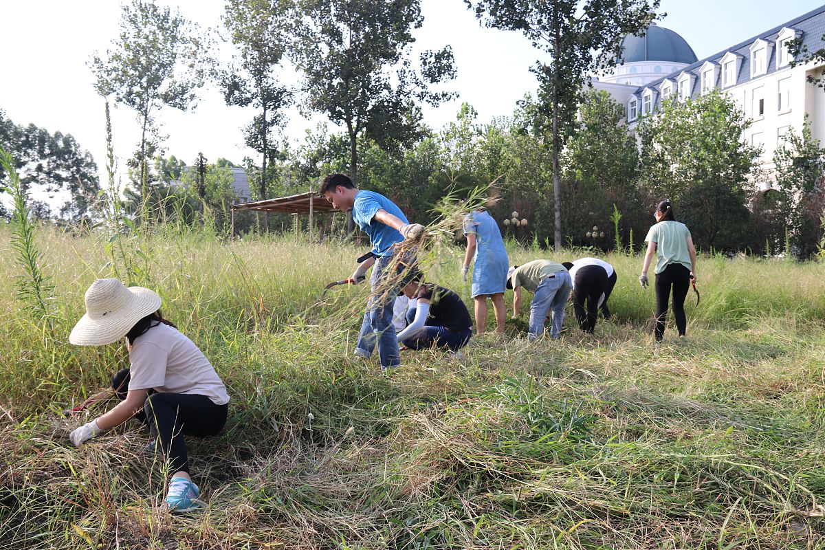 四川大学职业技术学院财务管理专业怎么样？课程设置、优势及就业前景解析