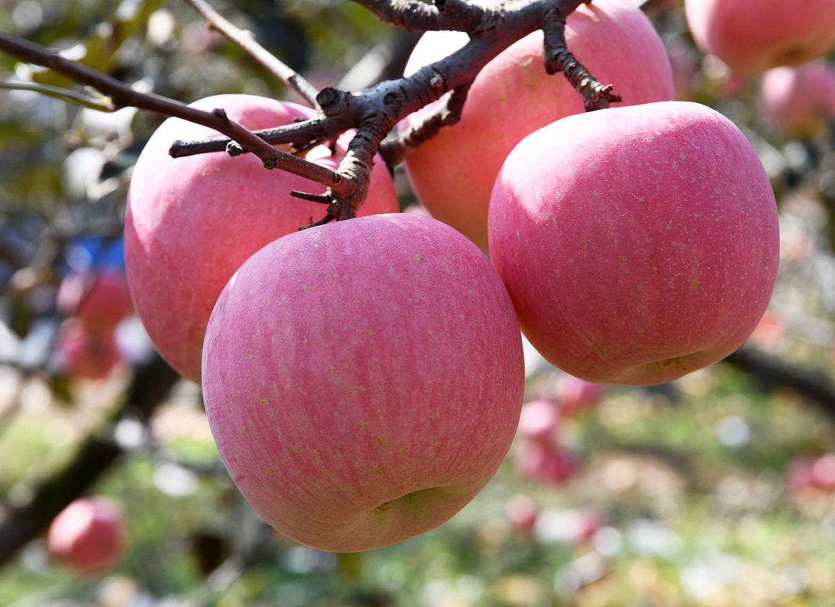 山东机电学校2021年招生条件是什么