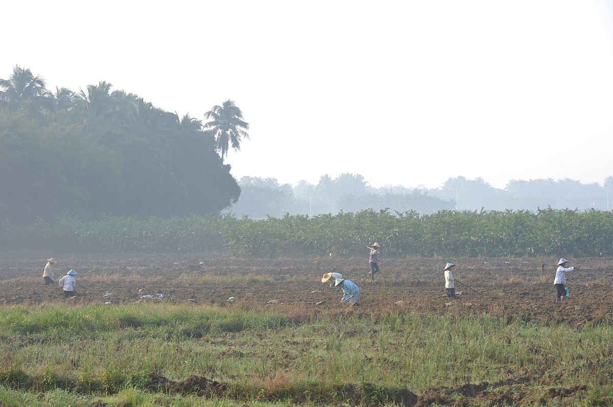 泸西县农业机械化技术学校的院校办学层次