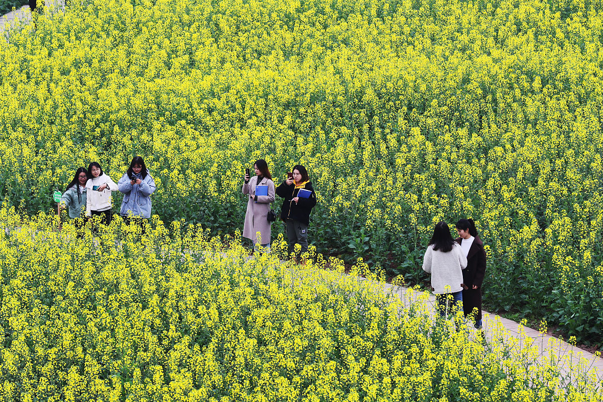 重庆航天职业技术学院软件技术专业课程设置详解：未来职业发展方向