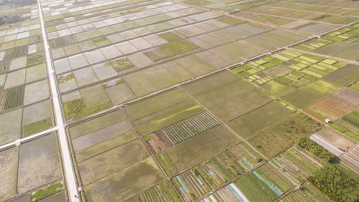 写一首关于海南的申论诗