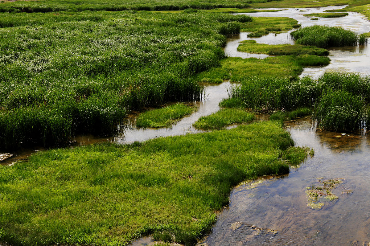 湿地保护：目标与行动 | WETLANDS