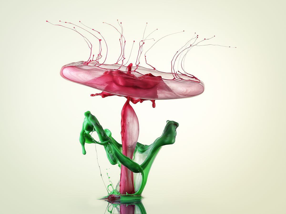 高速快门摄影技巧：捕捉瞬间，定格精彩