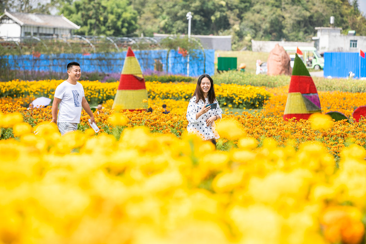 贵州健康职业学院老年服务与管理专业招生