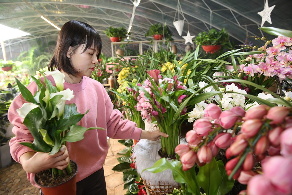 兰州园艺学校2023年怎么样、好不好