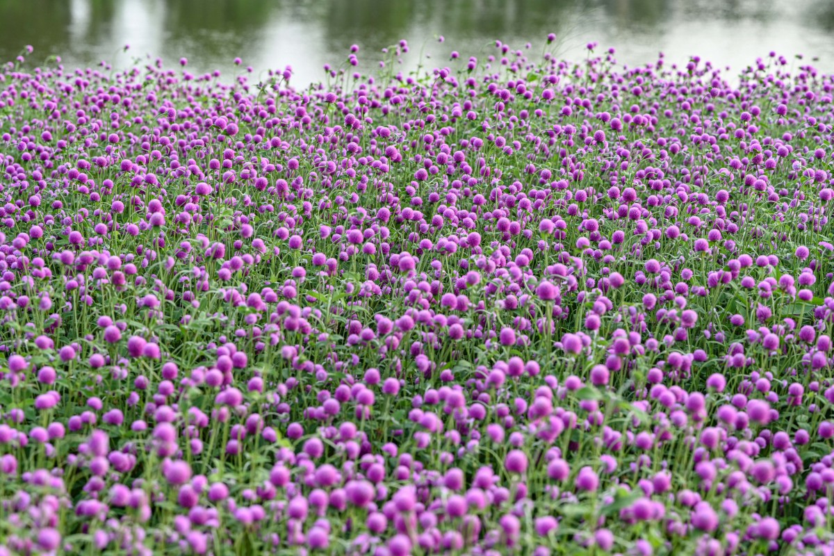 起一个小红书南宁旅游种草式标题帮我想10个hashtag