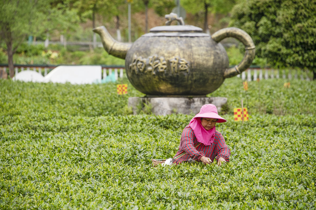 大学生村委会主任座谈会发言稿：经验、责任与成就