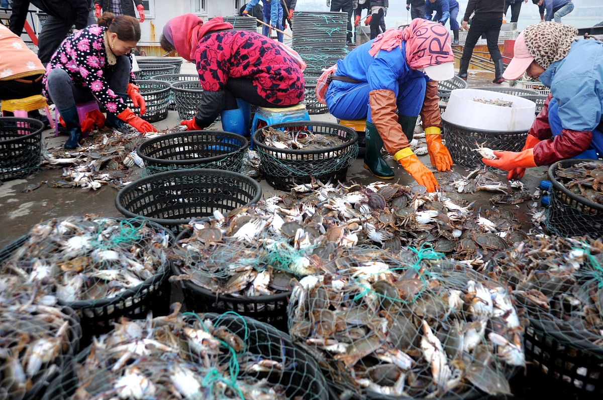 作为产品经理开发一款虾蟹壳类回收用于制作生物降解塑料网站用户定位可以设置为哪四类？以及他们的用户画像