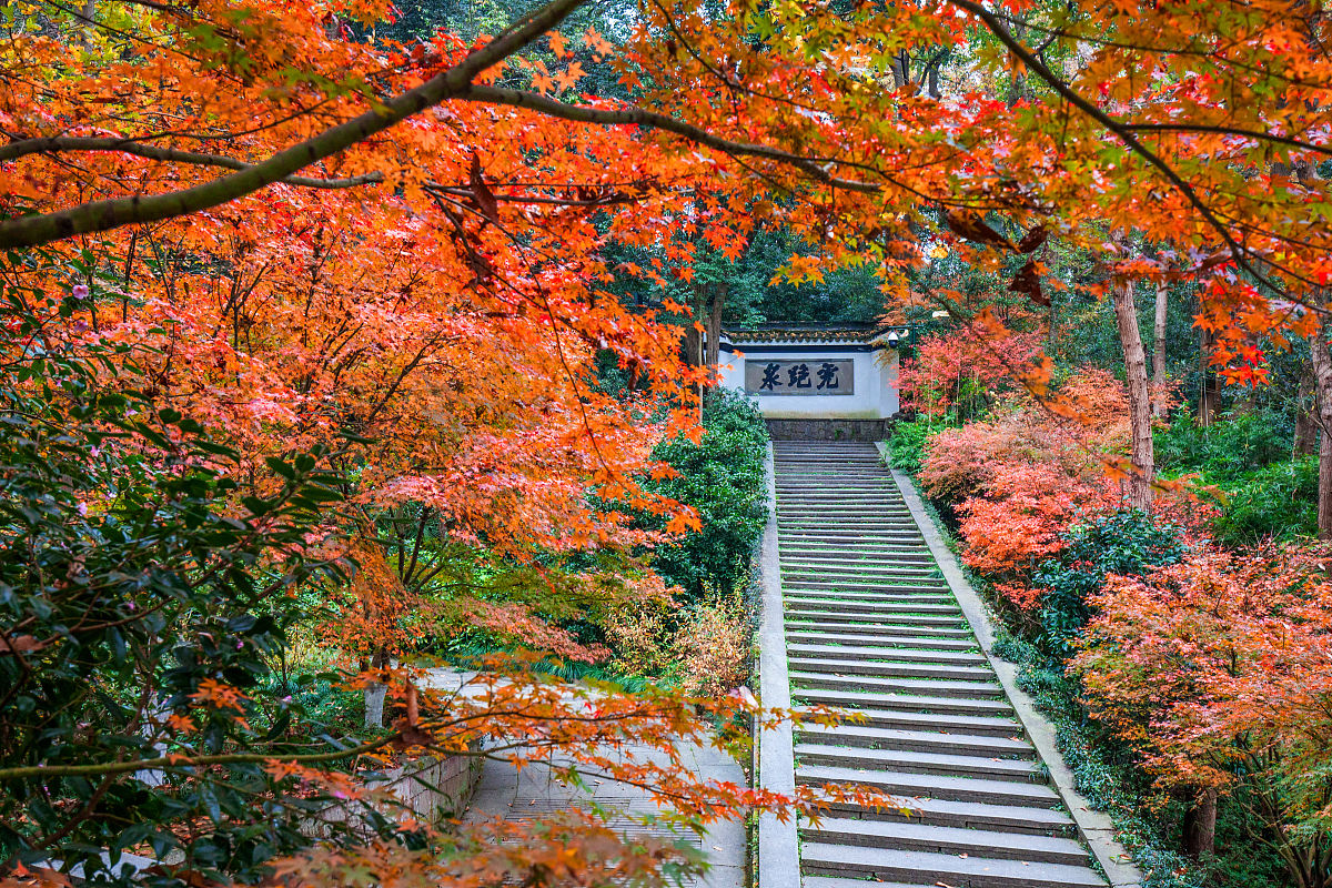 左右关于光雾山的作文