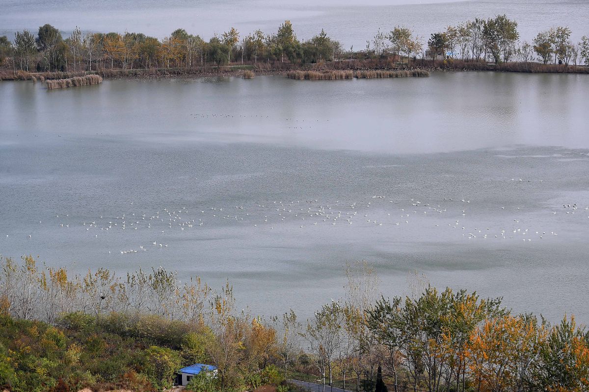 山西艺术职业学院2021年摄影摄像技术专业怎么样？