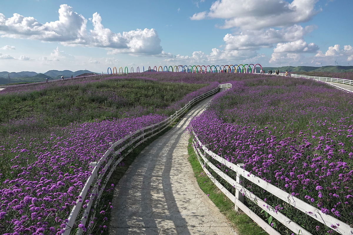 花溪区第六中学2023年招生简章 - 优质教育，成就梦想