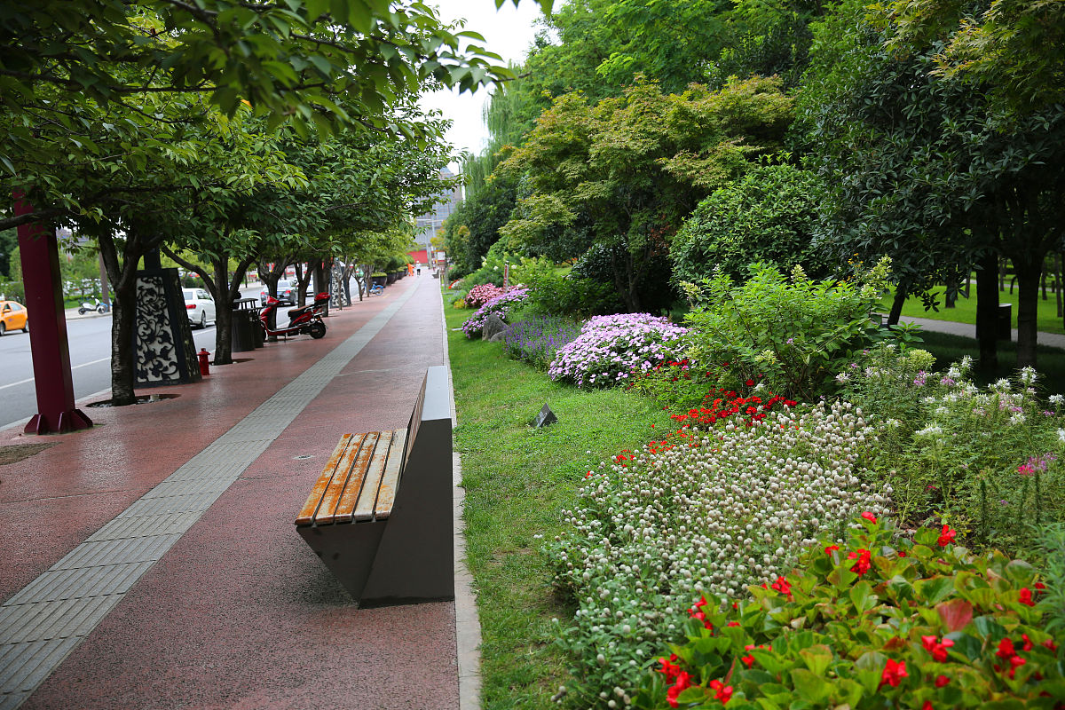 写一篇西安东三环绿化的基本情况简介。