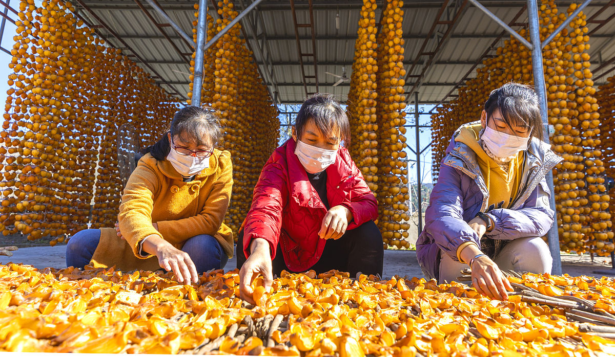 山西农业广播电视学校养殖专业怎么样？优势与劣势分析
