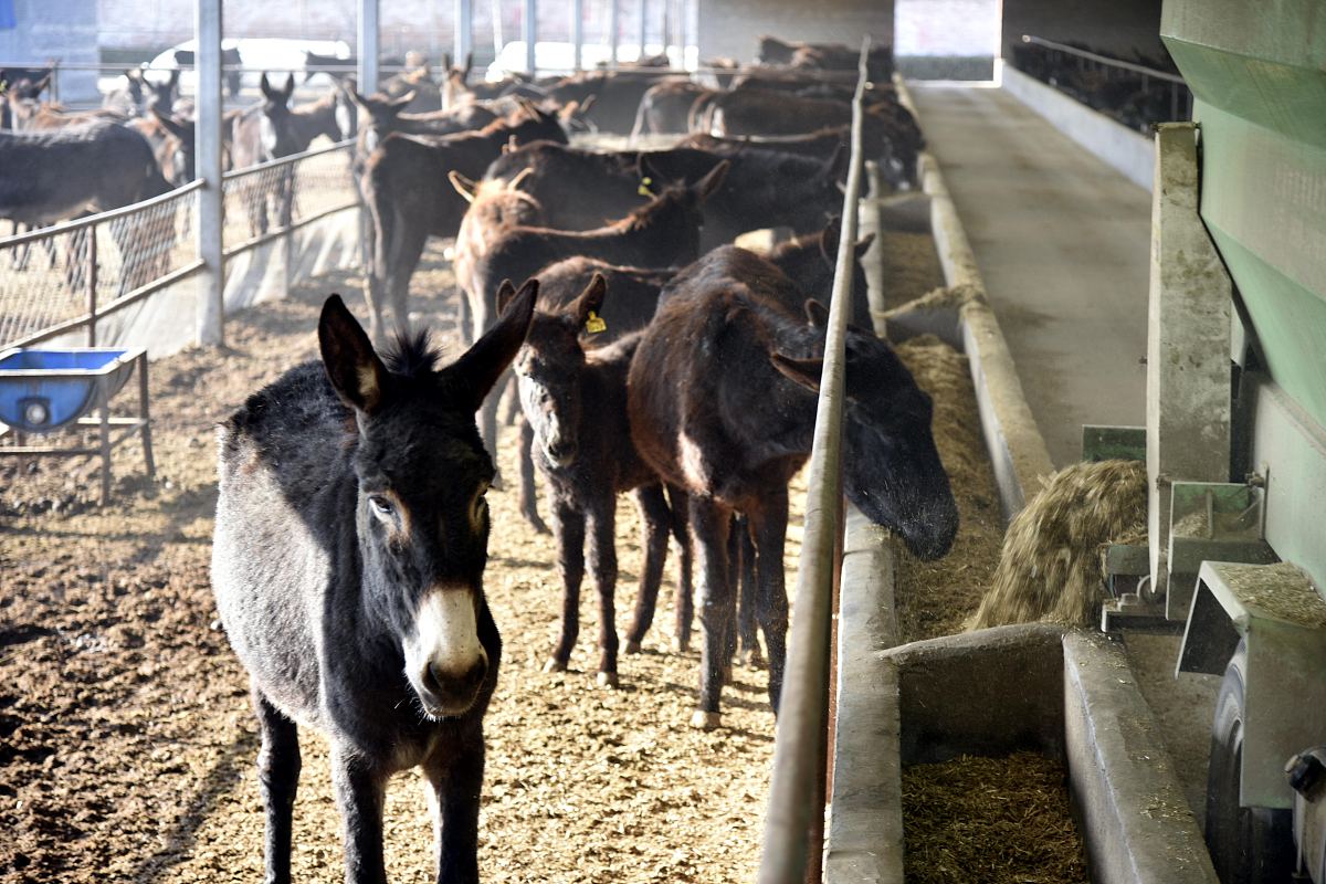 特种动物养殖专业就业前景用发
